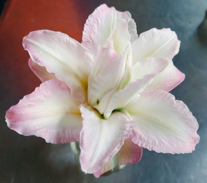 情人節玫瑰百合禮盒(花束款) 