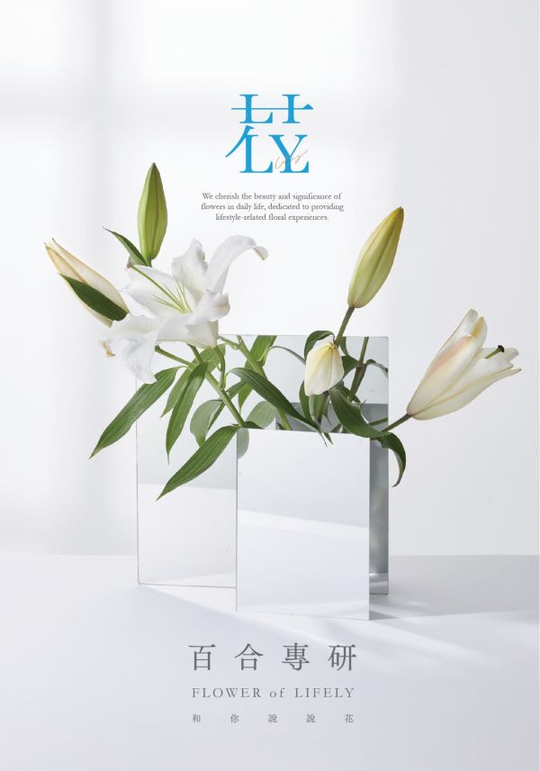 白色香水百合--水晶 