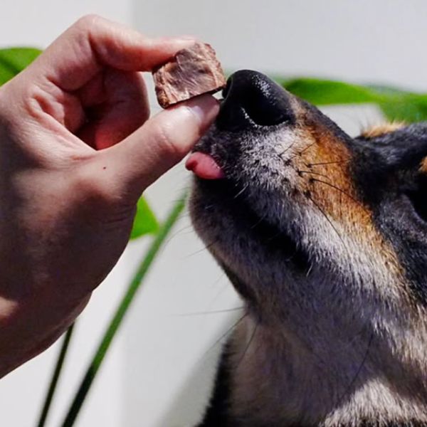 【尾巴丘 Tailshill x 狗與鹿聯名零食】 皇家鹿小排—狗貓適用 