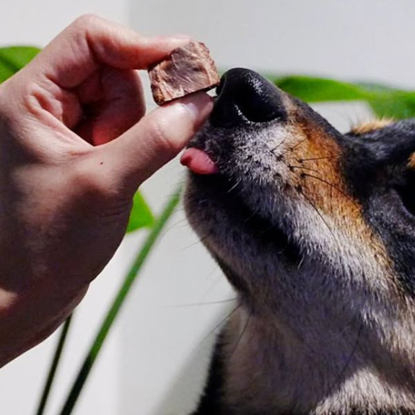 【尾巴丘 Tailshill x 狗與鹿聯名零食】 超值8入組—狗貓適用 