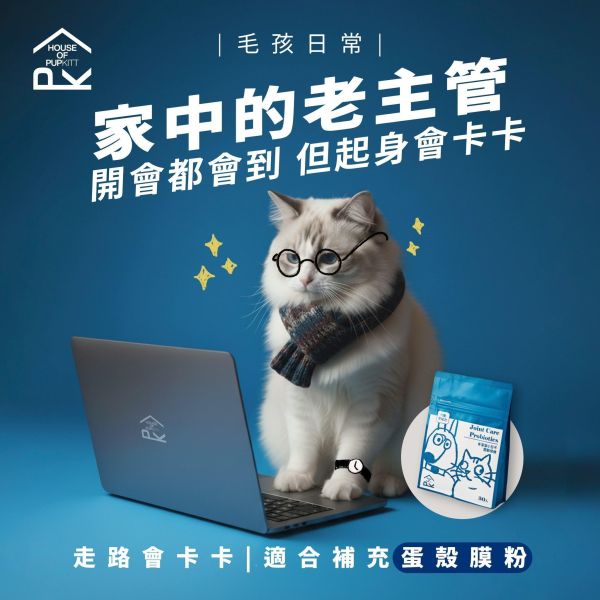 骨溜溜小日子｜關節保健（犬貓適用） 