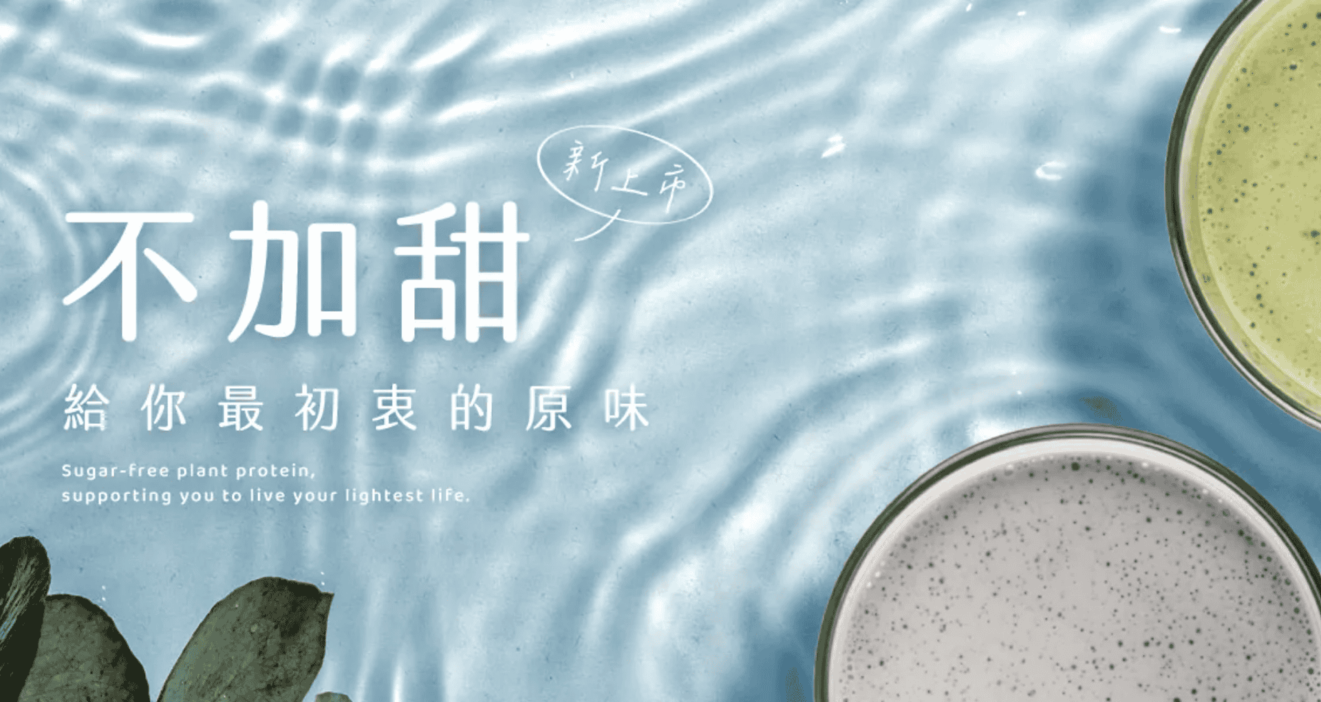 ▌黃金吸收比例複合植物蛋白 PlantsB 彼蛋白  - 用久體適能 Yǒng gù