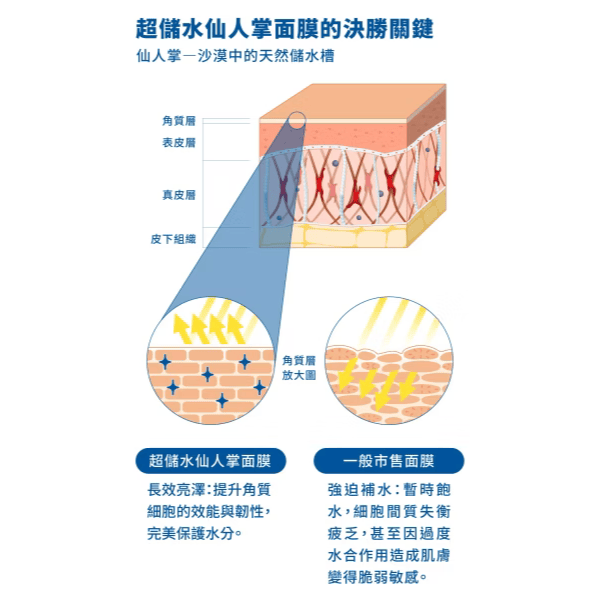 ▍贈品 ▍超儲水仙人掌面膜 (單片)｜BRIDGE 24/7 