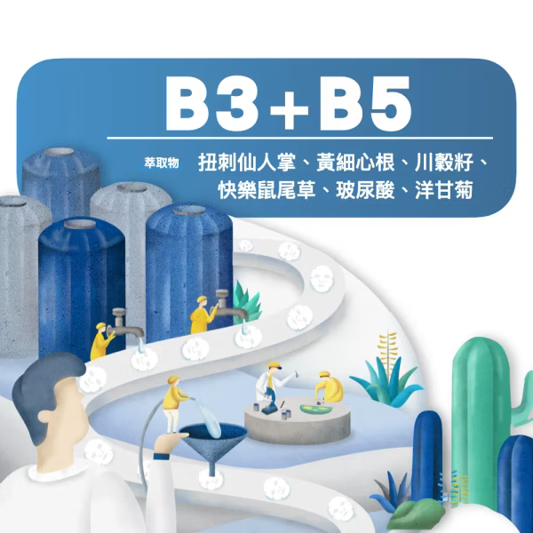 ▍限時團購 ▍超儲水仙人掌面膜｜BRIDGE 24/7 