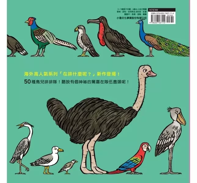 小魯｜到底在排什麼系列-5款 到底在排什麼系列,到底在排什麼呢,昆蟲在排什麼呢,海底在排什麼呢,超級大塞車
,鳥兒在排什麼呢,排隊繪本,數數繪本,想像力,創造力
