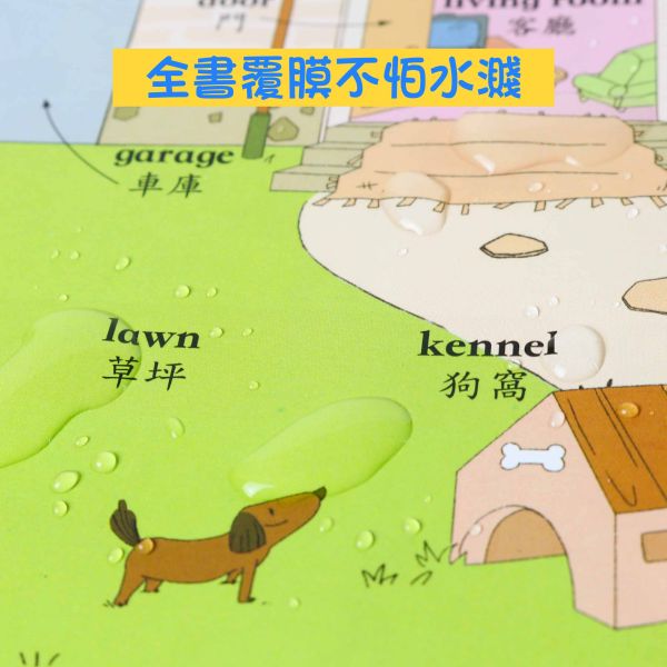 華碩｜手指點讀雙語有聲大書 點讀書,有聲書,大本書,雙語書,生活學習,生活認知,手指書