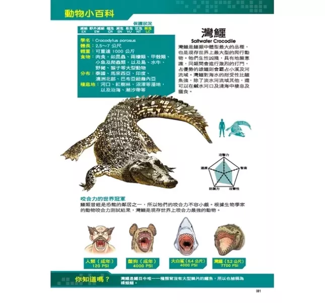 大邑｜Ｘ萬獸探險隊(套組) 看漫畫學知識,Ｘ萬獸探險隊,動物奧祕,小學生漫畫,動物知識,冒險故事