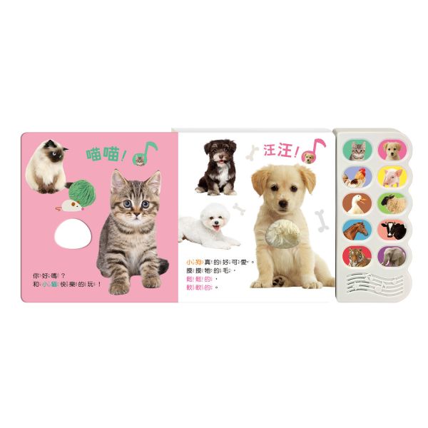 華碩｜汪汪認識小狗和他的朋友 有聲書,動物書,寶寶書,觸摸書,動物叫聲,感官書
