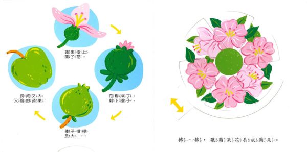 上人｜大型推拉轉翻翻書-3款 操作書,推拉轉,互動書,寶寶書,親子共讀,動植物繪本,認識身體繪本,手眼協調