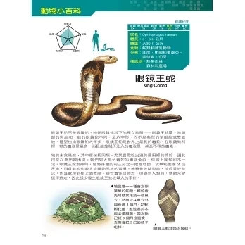 大邑｜Ｘ萬獸探險隊(套組) 看漫畫學知識,Ｘ萬獸探險隊,動物奧祕,小學生漫畫,動物知識,冒險故事