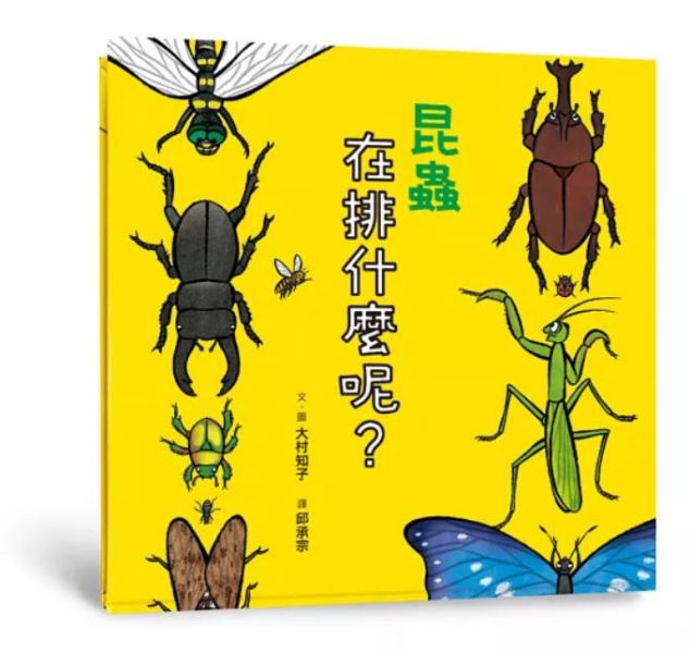 小魯｜到底在排什麼系列-5款 到底在排什麼系列,到底在排什麼呢,昆蟲在排什麼呢,海底在排什麼呢,超級大塞車
,鳥兒在排什麼呢,排隊繪本,數數繪本,想像力,創造力