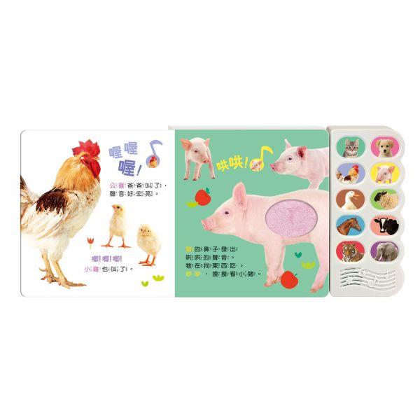 華碩｜汪汪認識小狗和他的朋友 有聲書,動物書,寶寶書,觸摸書,動物叫聲,感官書