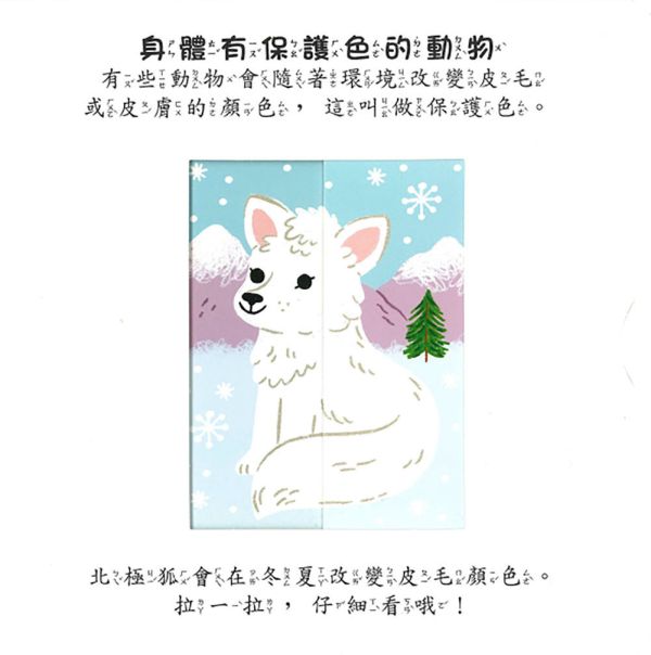 上人｜大型推拉轉翻翻書-3款 操作書,推拉轉,互動書,寶寶書,親子共讀,動植物繪本,認識身體繪本,手眼協調