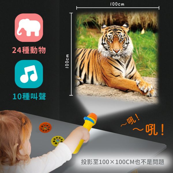 華碩｜有聲投影手電筒系列-2款(動物/恐龍) 動物認知,有聲書,互動書,恐龍知識,投影燈,遊戲書,前進動物王國,恐龍來了,動物百科