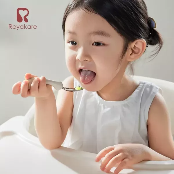 Royalcare 嬰幼副食品器具 不鏽鋼匙叉組合 (附收納盒) 