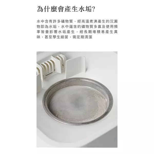 小獅王辛巴 效速水垢清潔劑(30gx6包) 