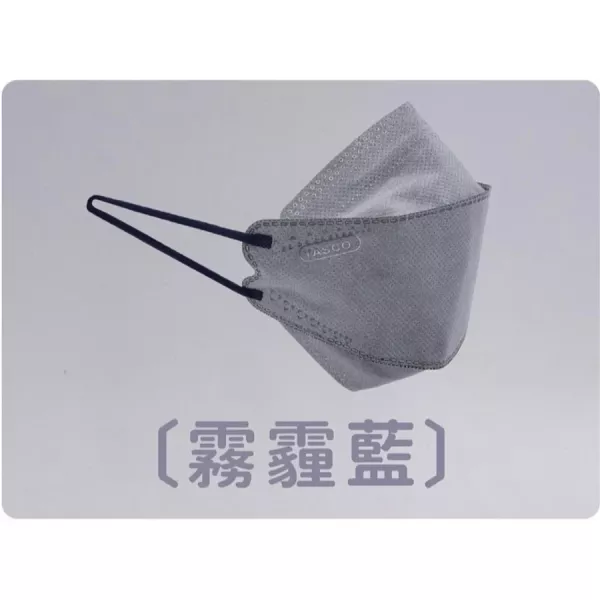 昭惠成人4D立體口罩 10入/盒（獨立包裝） 