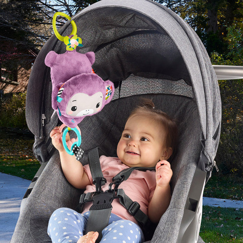 Fisher Price 費雪歌唱感官紫色猴子 
