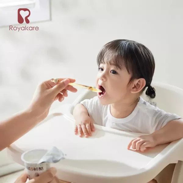 Royalcare 嬰幼副食品器具 刮泥勺 (附收納盒) 
