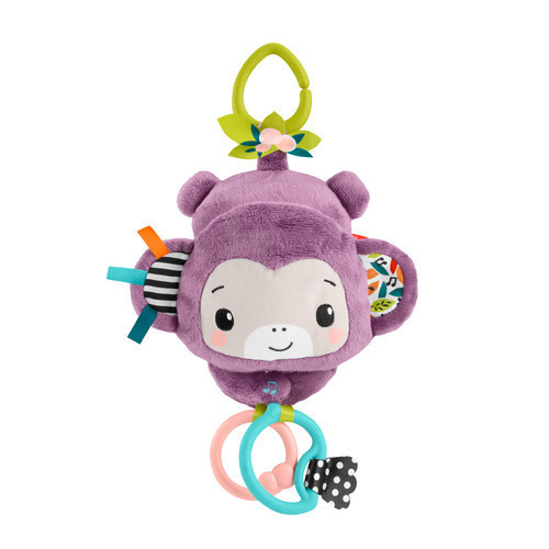 Fisher Price 費雪歌唱感官紫色猴子 