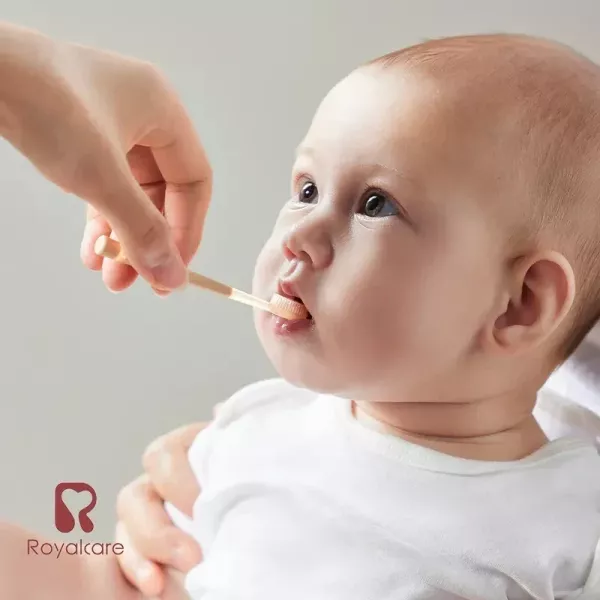 Royalcare 口腔清潔套裝組合(附收納盒) 