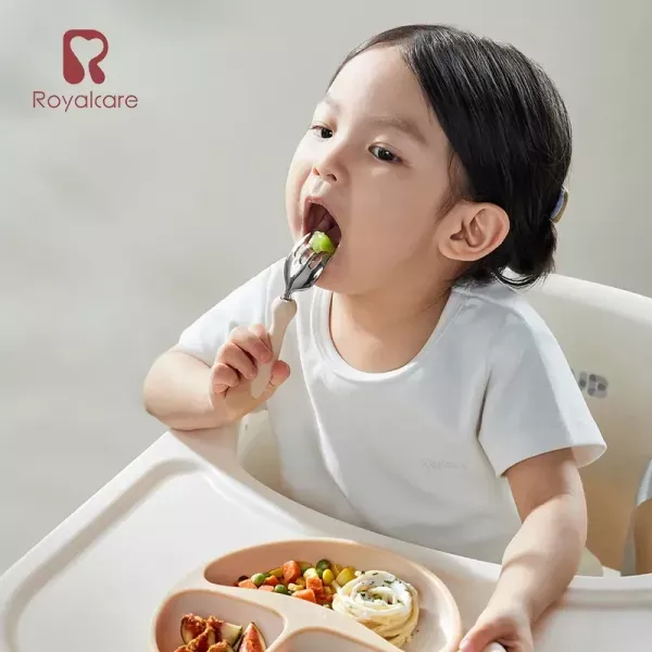 Royalcare 嬰幼副食品器具 不鏽鋼匙叉組合 (附收納盒) 