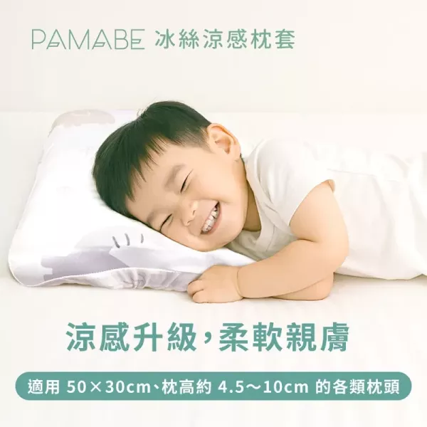 PAMABE 冰絲涼感枕套 50*30cm 