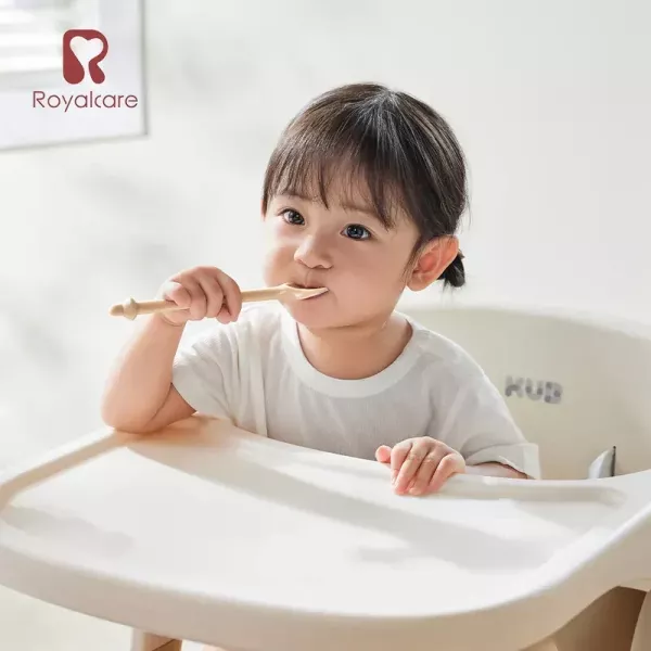 Royalcare 嬰幼副食品器具 撫餵軟頭湯匙組 (附收納盒) 
