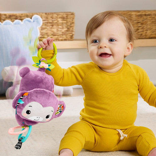 Fisher Price 費雪歌唱感官紫色猴子 
