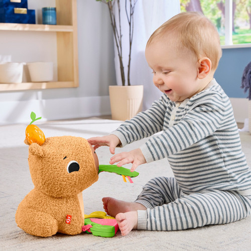 Fisher Price 費雪安撫小水豚 