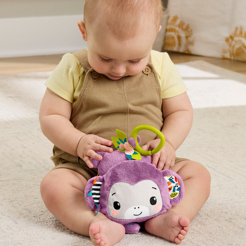 Fisher Price 費雪歌唱感官紫色猴子 