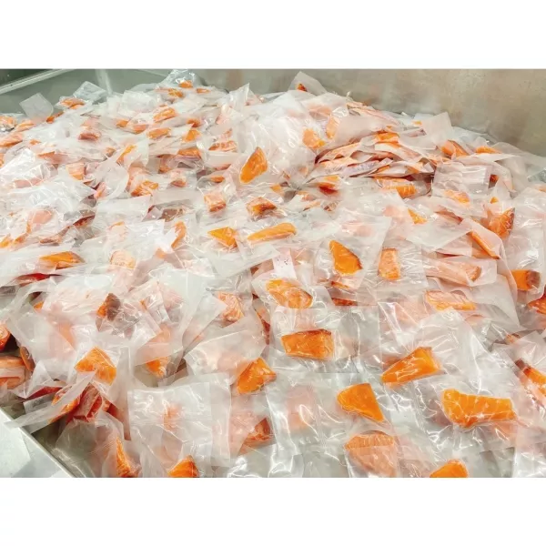 永圻 挪威鮭魚魚片 120g (食用仍需留意刺) 
