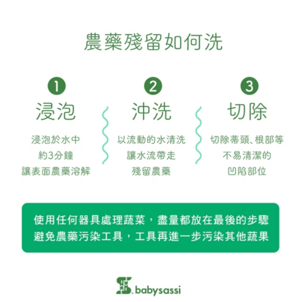 babysassi 誰是寶貝 蔬果奶瓶清潔液300ml 