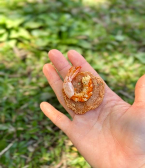 蝦味鮮雞餅 | 精緻款 狗狗鮮食、台式主食、關節保健、補水補氣、寵物保冷袋、狗狗肉乾、狗狗零食、狗狗訓練零食、狗狗天然零食