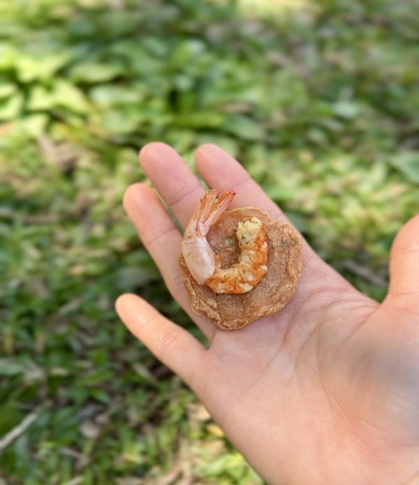 蝦味鮮雞餅 | 精緻款 