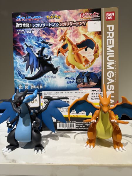 「現貨」寶可夢可動公仔 高級噴火龍X&Y 2025/6月~7月 寶可夢可動公仔 高級噴火龍X&Y