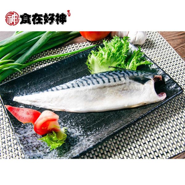 挪威無紙板鯖魚魚排大組 挪威無紙板鯖魚魚排大組