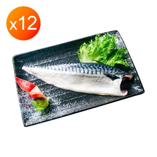 挪威無紙板鯖魚魚排 挪威無紙板鯖魚魚排