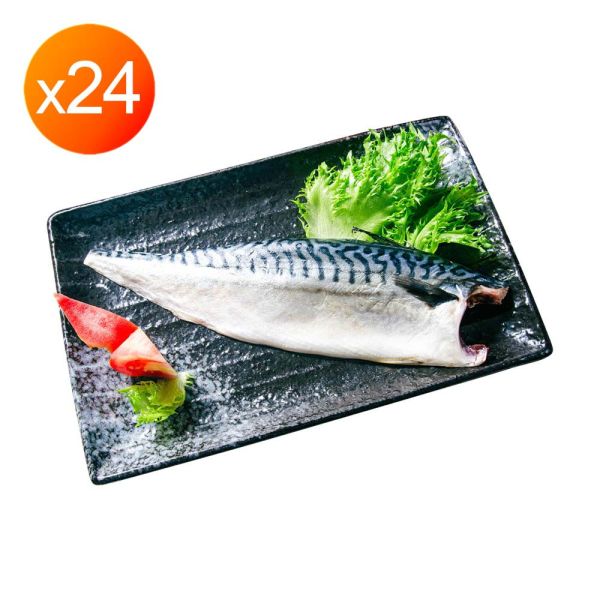 挪威無紙板鯖魚魚排大組 挪威無紙板鯖魚魚排大組