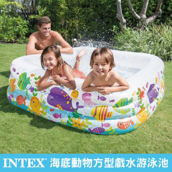 【INTEX】海底動物方型戲水游泳池159x159x50cm (340L)3歲+ 15120400(57471N) LIFECODE,戶外用品,LIFECODE生活密碼戶外用品生活館 ,帳篷,折疊桌椅,鋁合金,車尾帳,速搭帳,INTEX,露營,露營區,露營裝備,露營生活,露營美學,outdoor,camping,帳篷,露營小物,客廳帳