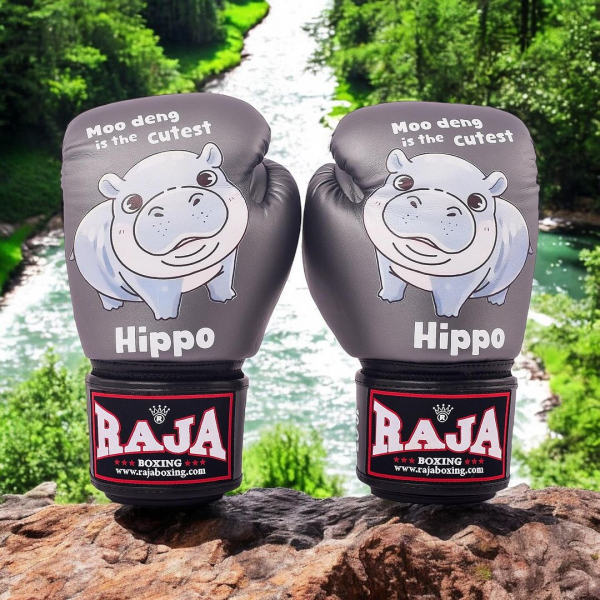 RAJA 彈跳豬 灰色 真皮 8oz 拳擊手套 拳套,RAJA,拳擊,踢拳,泰拳,拳擊