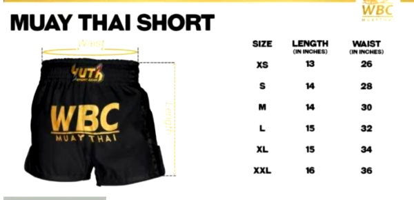 YUTH 芭達雅 L / XL 白粉 亮面 泰拳褲 運動短褲 YUTH,泰拳褲,運動褲,拳擊,踢拳,泰拳,