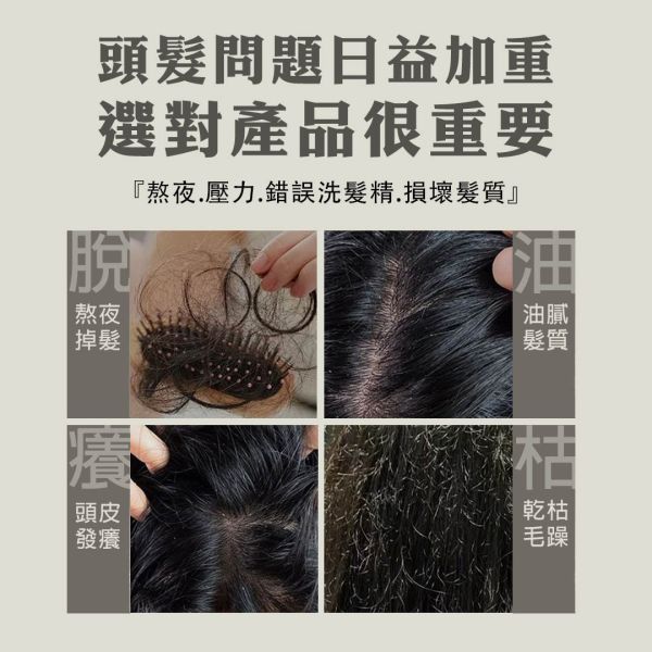 新港奉天宮官方授權/虎嘯一身/暴財暴富香氛洗髮精(1000ml) 金虎爺,洗髮精,平安保佑,