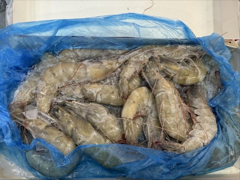 特選進口大白蝦 