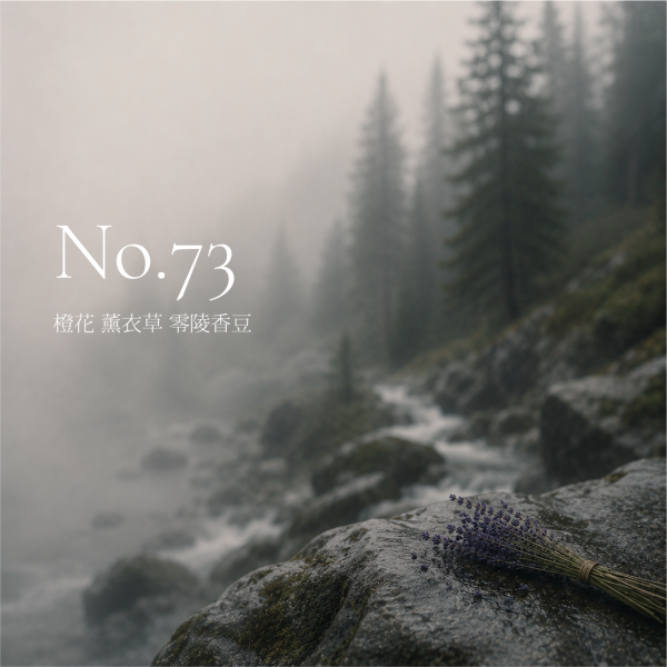 No.73 森林｜馥奇調 車用香氛, 車用擴香瓶, 懸掛式香氛, 天然植物香氛, 無酒精車用香氛, 車內香氛精油, 車用芳香瓶, GARAGES 車用香氛, 車用香水推薦, 車內空間香氛, 車用香氛禮盒, 持久型車用香氛, SGS認證香氛, IFRA認證香氛,台灣車用香氛, 高雄車內香氛, 台中車用擴香瓶, 台北車內香氛推薦, 台灣車用芳香精油, 全台車用香氛宅配, 車主必備香氛, 台灣無酒精車用香氛, 車內空氣清新香氛,