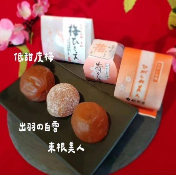 （6月團）松野屋 梅子禮盒 【完熟/中粒】 松野屋,梅子禮盒,完熟中粒,兔瑪星日本選物店