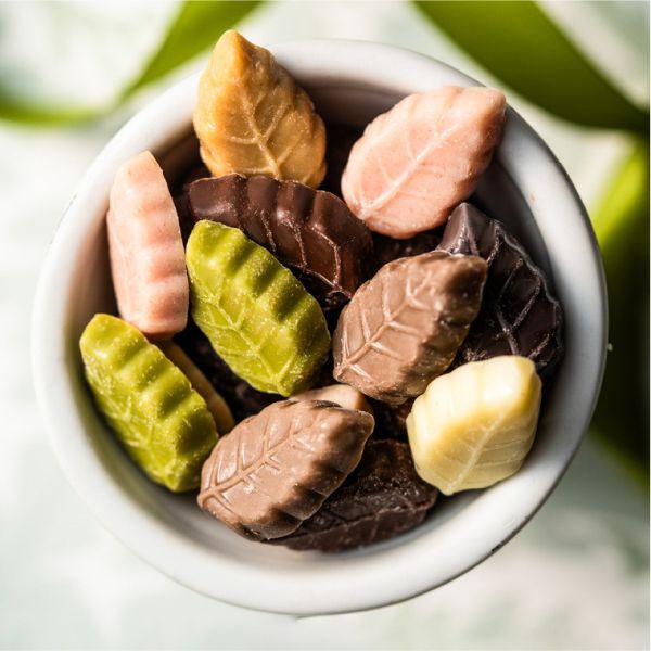 巧克力屋 Mon loire 葉子巧克力袋裝9入 巧克力屋,Monloire,葉子巧克力,兔瑪星日本選物店