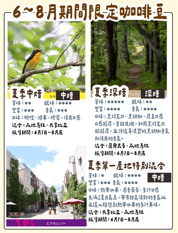 【8月團限定】丸山咖啡 期間限定 夏季咖啡豆 丸山咖啡,咖啡豆,咖啡濾掛,咖啡包,季節限定,兔瑪星日本選物店