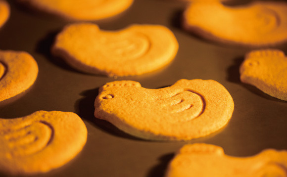 古特小鳥餅乾 GATEAU FESTA HARADA 法國麵包脆餅 GATEAU FESTA HARADA,法國麵包脆餅,兔瑪星日本選物店,小鳥餅乾