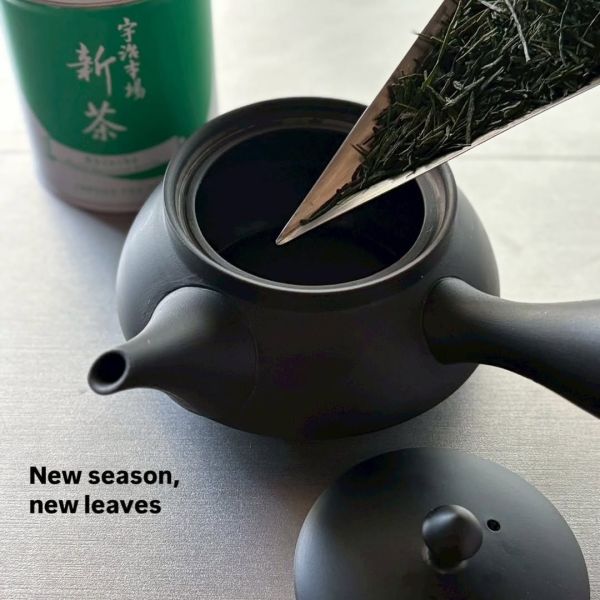 【6月限定】一保堂茶舖 2025新茶 煎茶 一保堂,煎茶,2025新茶,兔瑪星日本選物店
